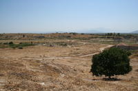 Mileto: verso l'antico porto dei Leoni (dove probabilmente fu accompagnato Paolo in partenza per Gerusalemme e Roma)