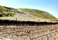 La collina non ancora scavata dell'antica Colosse