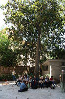 IMG_4250.JPG