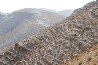 Meditando le tentazioni di Gesù nel deserto di Giuda