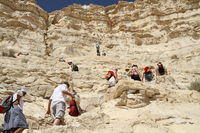 En Avdat, risalendo verso il deserto di Zin