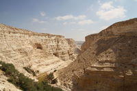 En Avdat, il kenyon