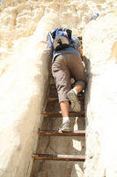 En Avdat, risalendo verso il deserto di Zin