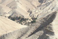 Meditando le tentazioni di Gesù nel deserto di Giuda