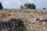Ugarit