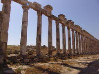 Apamea