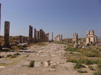 Apamea