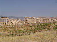 Apamea