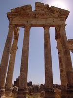 Apamea