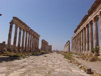 Apamea