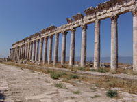 Apamea