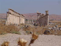 Apamea