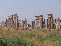 Apamea