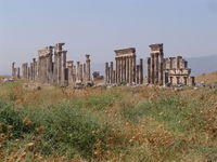 Apamea