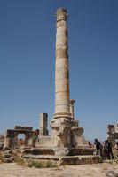 Apamea