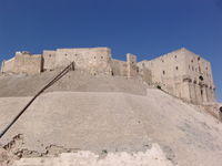 Aleppo