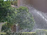 Damasco