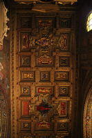 IMG_6875rid.JPG