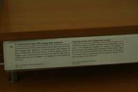 Museo Nazionale Romano Iscrizioni ebraiche 044.jpg