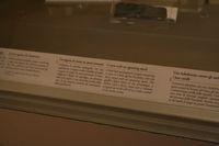 Museo Nazionale Romano Iscrizioni ebraiche 062.jpg