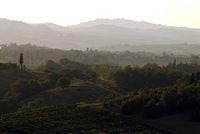 Toscana - Montepulciano (SI) - agosto 2006