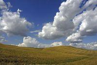 Toscana - Pienza (SI) - agosto 2006