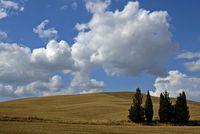 Toscana - Pienza (SI) - agosto 2006