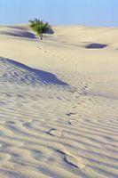 Tunisia - grandi dune - Douze - febbraio 2007