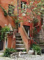 Roma - cortile interno - maggio 2005