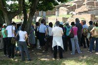 Presso il Foro di Ostia antica