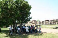 Presso il Foro di Ostia antica