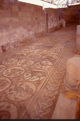 Petra. La basilica bizantina recentemente riportata alla luce in Petra dal francescano p.Michele Piccirillo. 