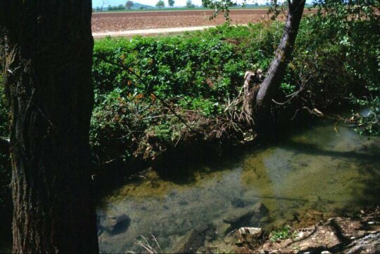 Il luogo della preghiera delle donne lungo il fiume, dove fu battezzata Lidia