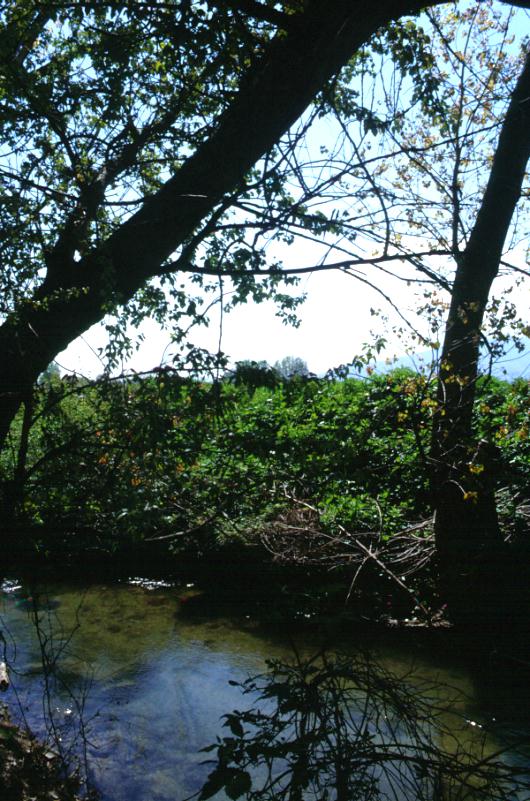 Ancora il fiume del battesimo di Lidia